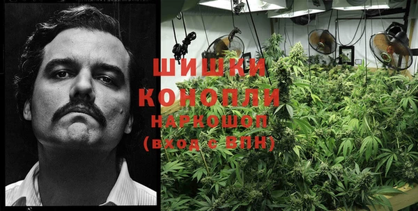 крисы Аркадак