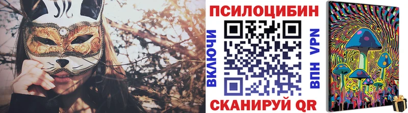 купить наркоту  Озёрск  Псилоцибиновые грибы Psilocybe 